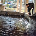 ���� Vladimir, ���������, 57 ��� - ��������� 9 ������� 2014 � ������ �������