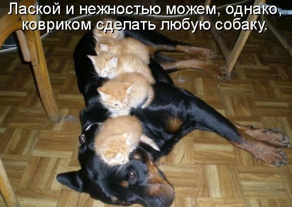 �������������� �� ���: <a href=