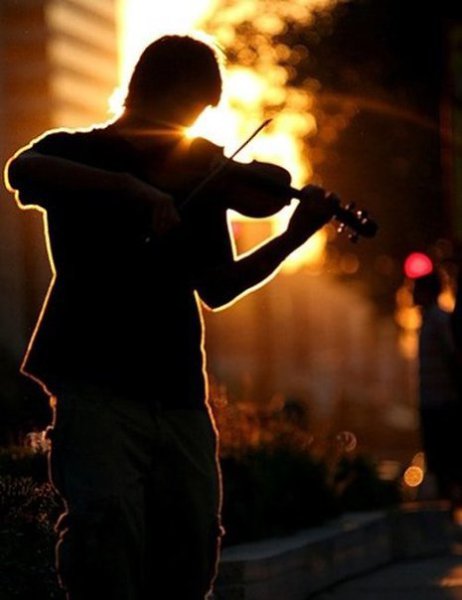 Молодость и зрелость сели на скамейку….Молодость сказала: «Ты как я сумей-ка…»Зрелость отвечала: ... - 2