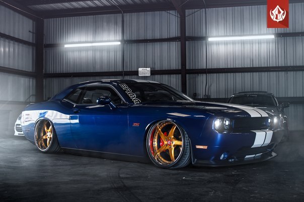 Dodge Challenger 392 HEMI on Vip Modular Wheels - 6