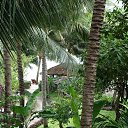 ������� � ������, ������� �� ������� ��������-2013�