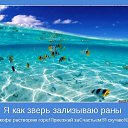 ���� ����, �������� - ��������� 30 ������� 2014 � ������ ������ ��������