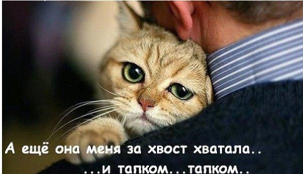 •°https://fotostrana.ru/away?to=/sl/68D2 - 11  2014  17:25
