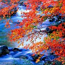  Viktoria Aleksandrina,  -  18  2014    