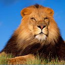 ���� ������� ���� 202, ������ - ��������� 30 ������� 2014 � ������ ���� ����������