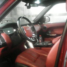 ���� �������, �����-���������, 43 ���� - ��������� 22 ������� 2014