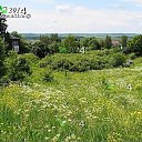 ��� ������ ��� �� ������� ���� ����������