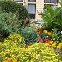 ���� ����, ������, 56 ��� - ��������� 28 �������� 2014 � ������ �������