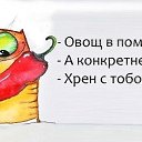 ���� �������, �����-��������� - ��������� 18 ������� 2014 � ������ ������ ��������