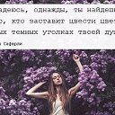���� ���, ������������� - ��������� 15 �������� 2014 � ������ ������ ��������