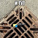 ���� ����, ���, 54 ���� - ��������� 18 �������� 2014 � ������ ������ ��������