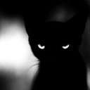 ���� ��������, �������, 39 ��� - ��������� 20 �������� 2014