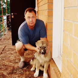 �����, ����, 61 ���