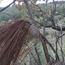 ���� _�����������_, ������ - ��������� 7 ������� 2014 � ������ ������ ��������