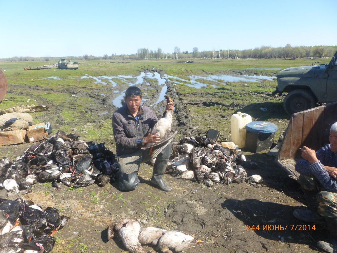 ����� ������� - 8 ������ 2014 � 13:26 - 3