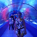 ����������� ��������. �� ������� �������� � ������ � ������� 2014.�