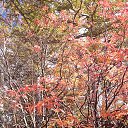 ���� Aleksei, �����-���������, 55 ��� - ��������� 19 ������� 2014 � ������ ����� ����� ( �. �����, ������ ����, ���������� ��������, ���������� �������)�