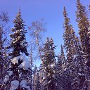 ���� ������ ���������, �����, 68 ��� - ��������� 24 ������� 2014 � ������ ���� ����������