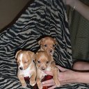 ���� �����, ���������, 46 ��� - ��������� 24 ������� 2014 � ������ ���� ����������