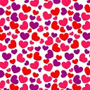 ���� �����, �����-���������, 24 ���� - ��������� 22 ������� 2014 � ������ ���� ����������