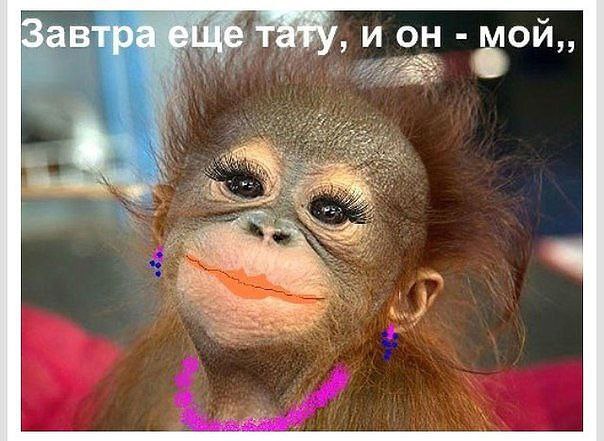 �������� ��������� - 30 ������� 2014 � 11:30
