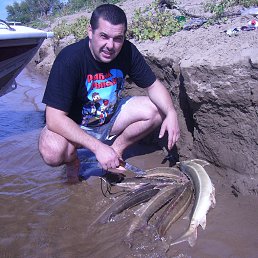 ������, ������, 56 ���