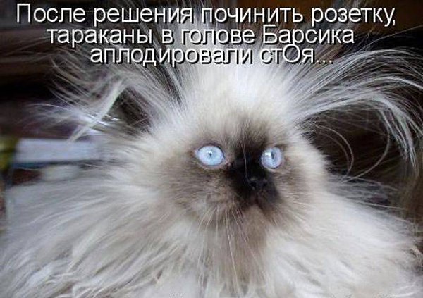 ����������. - 27 ������ 2014 � 19:39