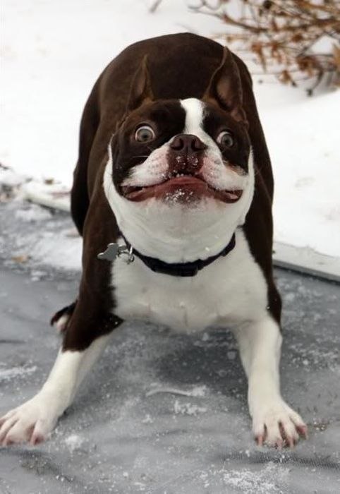 �������� ������ - 8