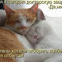���� Simma, ������, 57 ��� - ��������� 31 ������� 2014 � ������ ������ ��������