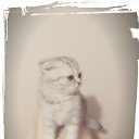 ���� Kati, ������ - ��������� 26 ������ 2014 � ������ ������ ��������