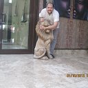 ���� �������, ������� - ��������� 9 ������� 2014 � ������ ���� ���� ������