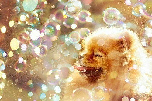 ...����� � ���� ����� ��������� ��������� ���� - 2