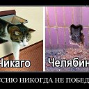 ���� ����, ��������, 50 ��� - ��������� 3 ������� 2014 � ������ ���� ����������