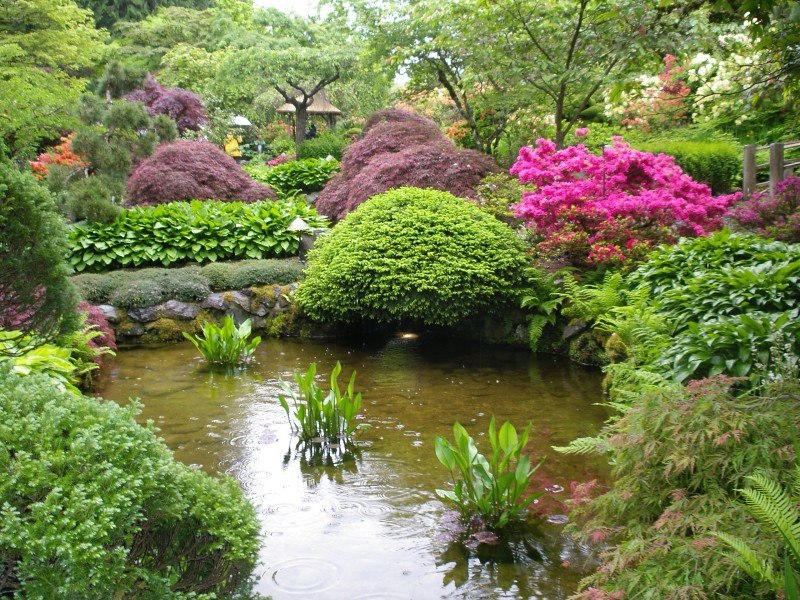   (Butchart Gardens, , ).  (Butchart Gardens)   ... - 4