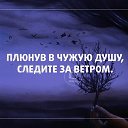 ���� �����, �������� - ��������� 8 ������� 2014 � ������ ������ ��������