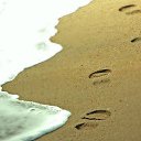  K A R O L I N A,  -  6  2014    