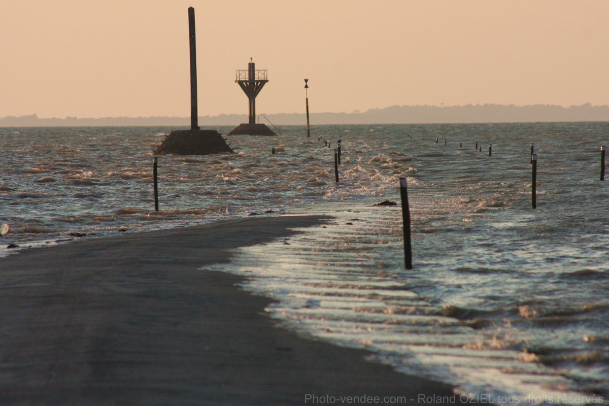  ,    .   (Passage du Gois)     ... - 10