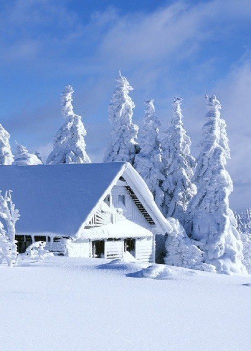 Art & Fun - 4 декабря 2014 в 13:04 - 6