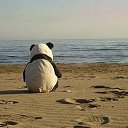  K A R O L I N A,  -  9  2014    