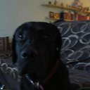 ���� ���������, ������, 54 ���� - ��������� 14 �������� 2014 � ������ ������ ��������