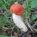 ���� �������, �������, 64 ���� - ��������� 30 ������ 2014 � ������ ���� ����������