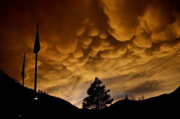   .Undulatus asperatus,        ... - 3