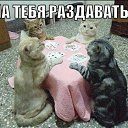 ���� �������, �������, 46 ��� - ��������� 10 �������� 2014 � ������ ������ ��������
