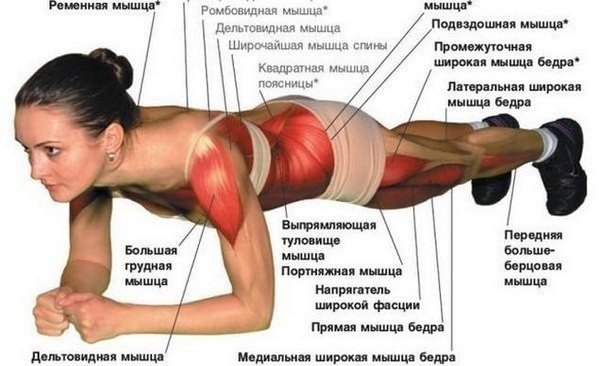 Планка. Планка является одним из самых популярных и эффективных упражнений для пресса по всему миру. ...