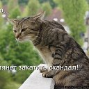 ���� ~@˸����~, ����, 41 ��� - ��������� 8 ������� 2014 � ������ ������ ��������