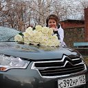 ���� ������, �������, 54 ���� - ��������� 30 ������ 2014 � ������ ���� ����������