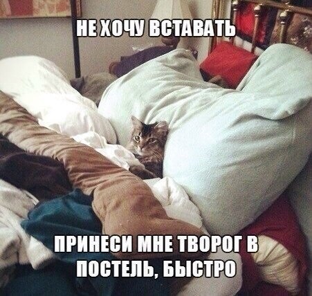 Сhocolate - 28 ноября 2014 в 00:49