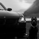 ���� �����, ������, 48 ��� - ��������� 2 ������ 2014 � ������ �������
