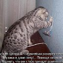 ���� �������, ��������� - ��������� 28 �������� 2014 � ������ �������