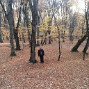 ���� Mursel, ����, 49 ��� - ��������� 23 ������ 2014 � ������ �������